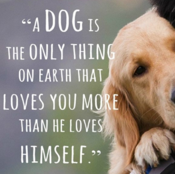 NFS Rescued Love  Miss Presh - Picture 3 of 3